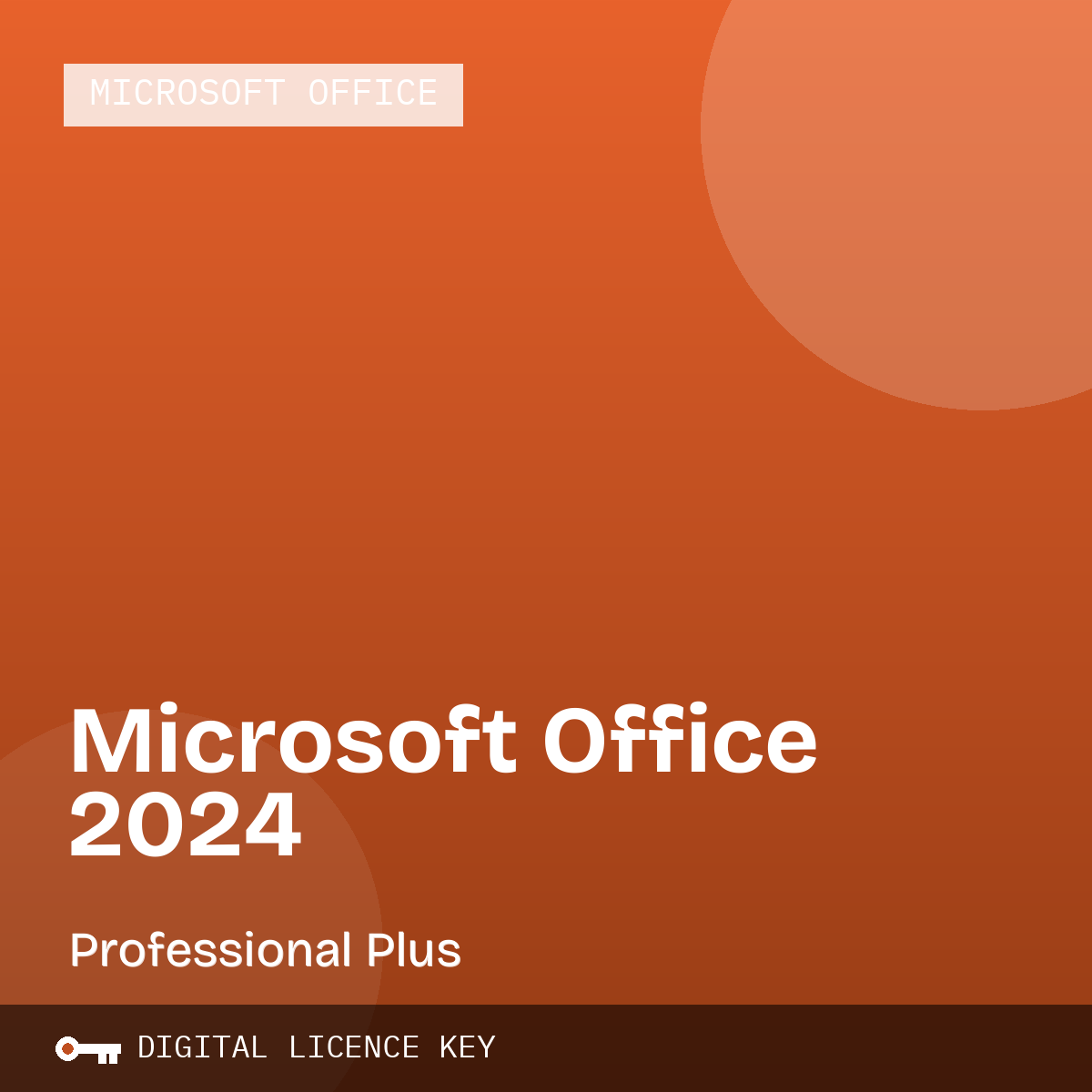 Microsoft Office 2024 Professional Plus Key