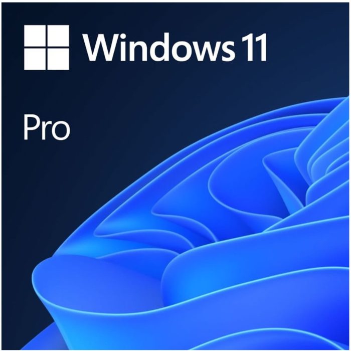 Windows 11 Pro Key